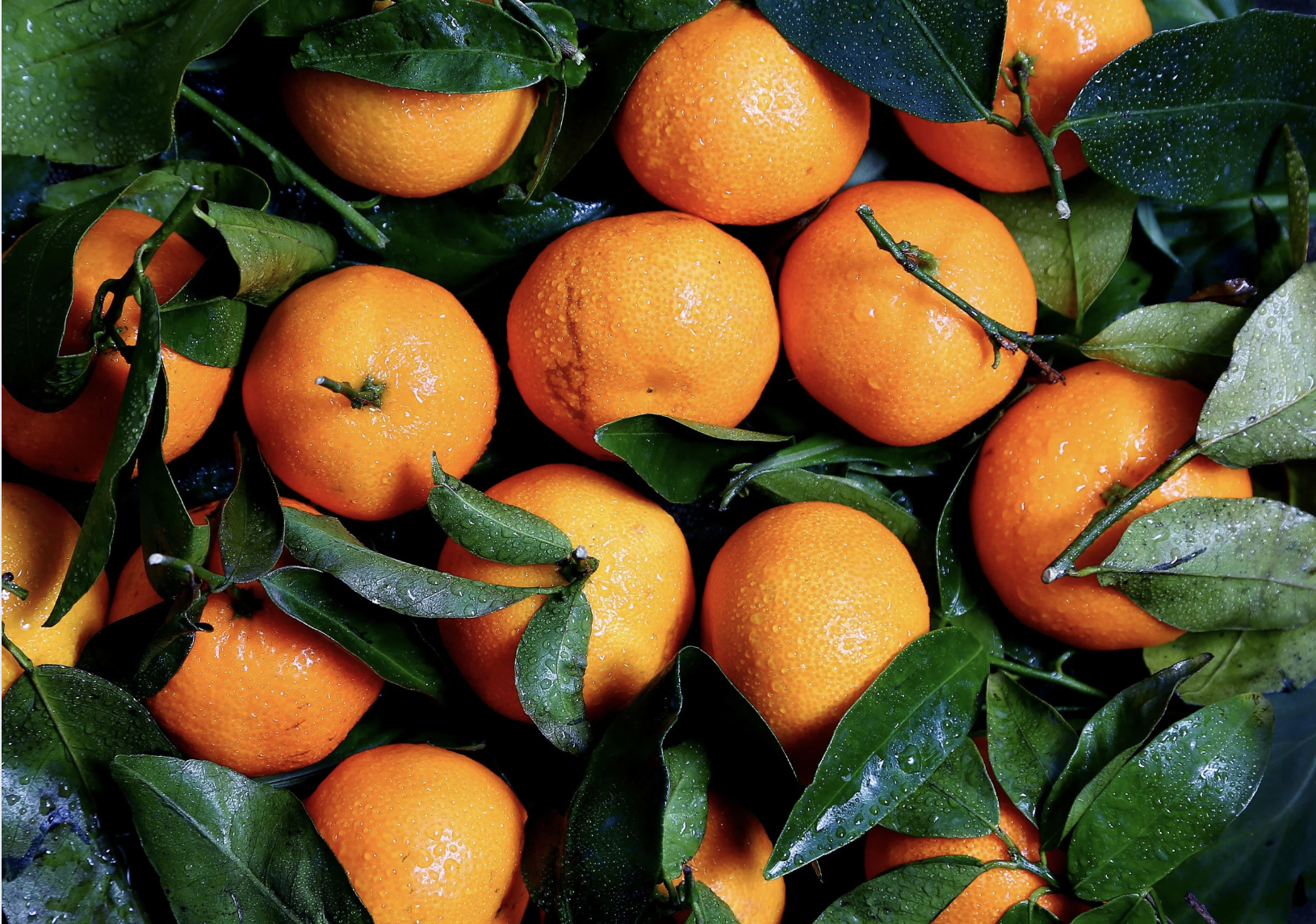 Naranjas - Ingredientes Naturales